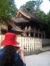 笛の音も木霊返す　大樹に囲まれる須佐神社